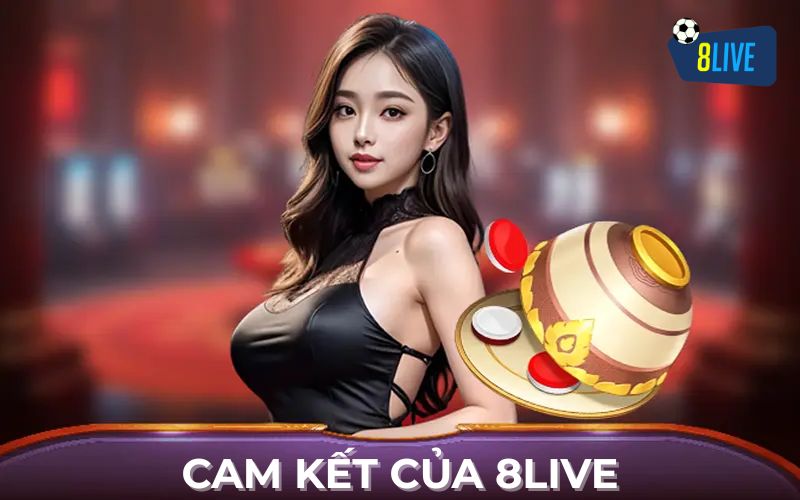 Cam kết của 8live đối với người chơi Cam kết của 8live đối với người chơi