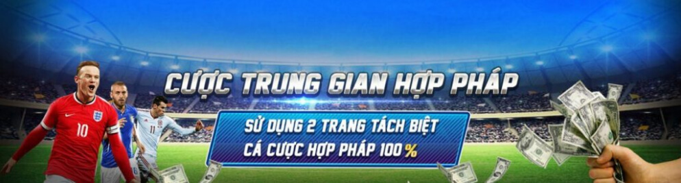 CÁ CƯỢC TRUNG GIAN LÀ GÌ? CÁ CƯỢC TRUNG GIAN LÀ GÌ?